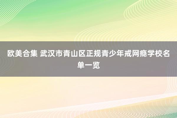 欧美合集 武汉市青山区正规青少年戒网瘾学校名单一览