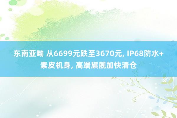 东南亚呦 从6699元跌至3670元， IP68防水+素皮机身， 高端旗舰加快清仓