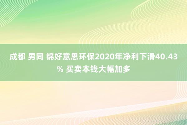 成都 男同 锦好意思环保2020年净利下滑40.43% 买卖本钱大幅加多