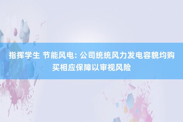 指挥学生 节能风电: 公司统统风力发电容貌均购买相应保障以审视风险