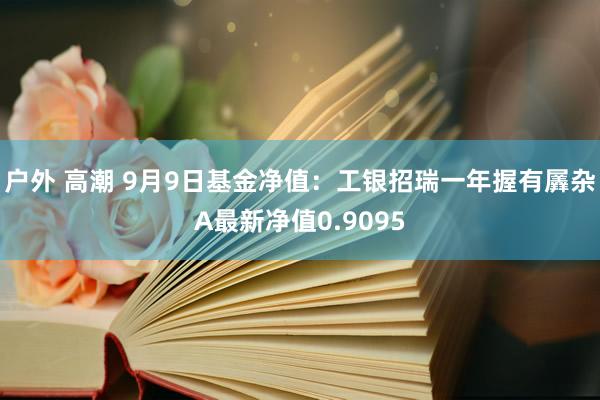户外 高潮 9月9日基金净值：工银招瑞一年握有羼杂A最新净值0.9095
