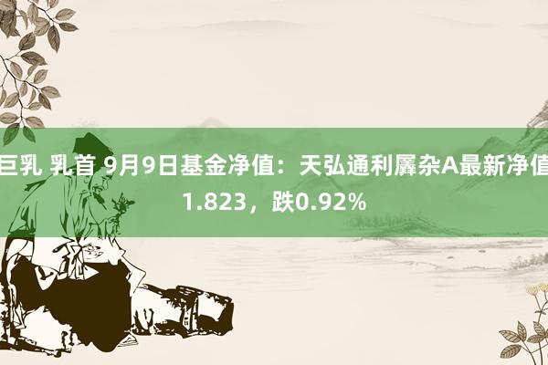 巨乳 乳首 9月9日基金净值：天弘通利羼杂A最新净值1.823，跌0.92%