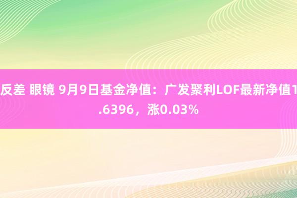 反差 眼镜 9月9日基金净值：广发聚利LOF最新净值1.6396，涨0.03%