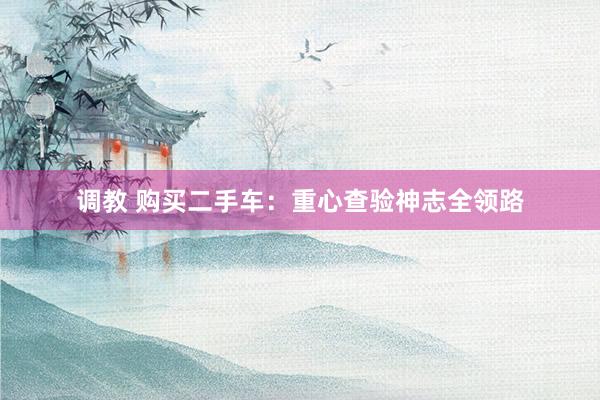 调教 购买二手车：重心查验神志全领路