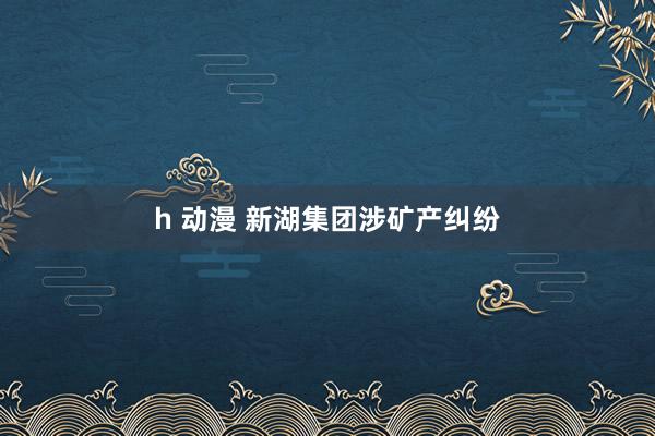 h 动漫 新湖集团涉矿产纠纷