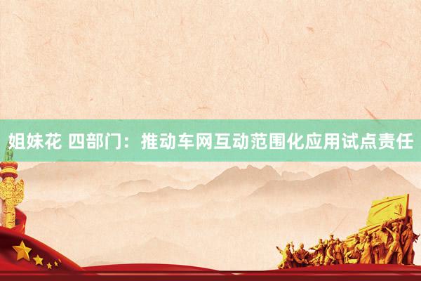 姐妹花 四部门：推动车网互动范围化应用试点责任