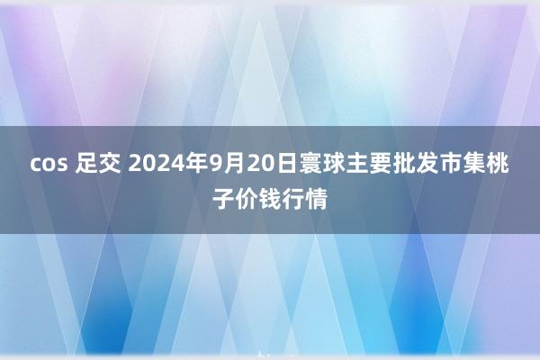 cos 足交 2024年9月20日寰球主要批发市集桃子价钱行情