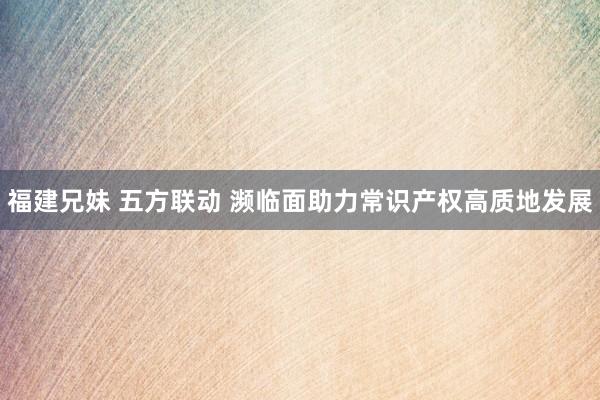 福建兄妹 五方联动 濒临面助力常识产权高质地发展