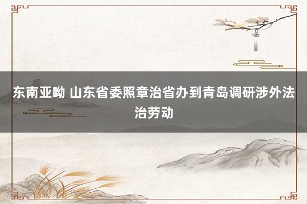 东南亚呦 山东省委照章治省办到青岛调研涉外法治劳动