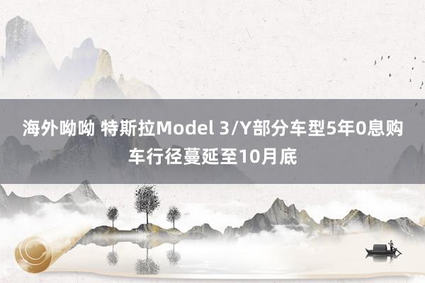 海外呦呦 特斯拉Model 3/Y部分车型5年0息购车行径蔓延至10月底
