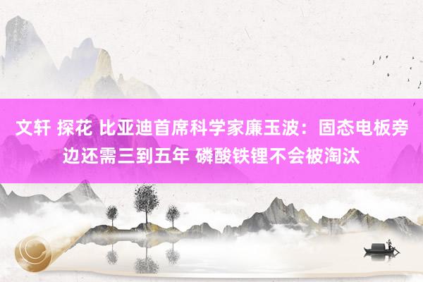文轩 探花 比亚迪首席科学家廉玉波：固态电板旁边还需三到五年 磷酸铁锂不会被淘汰