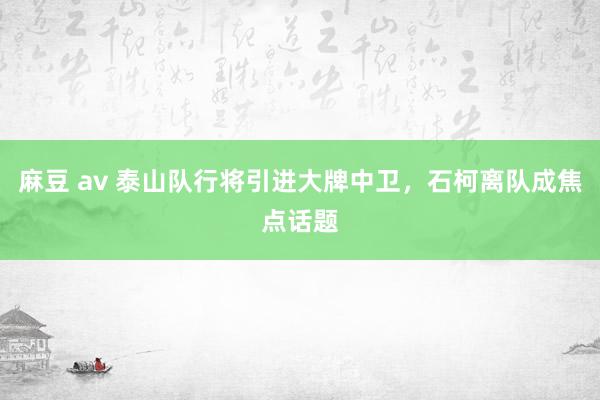 麻豆 av 泰山队行将引进大牌中卫，石柯离队成焦点话题