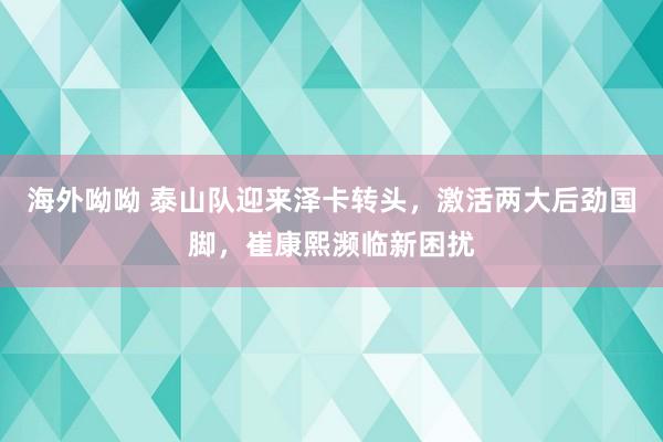 海外呦呦 泰山队迎来泽卡转头，激活两大后劲国脚，崔康熙濒临新困扰