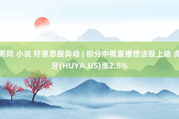 男同 小说 好意思股异动 | 部分中概直播想法股上扬 虎牙(HUYA.US)涨2.8%