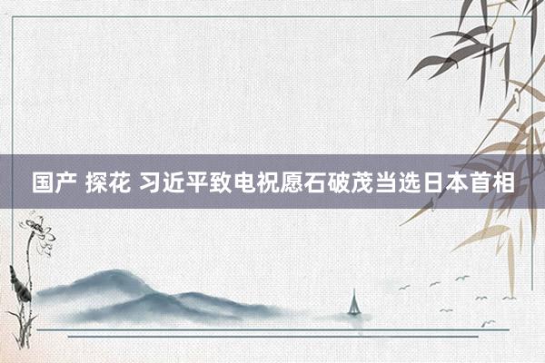 国产 探花 习近平致电祝愿石破茂当选日本首相