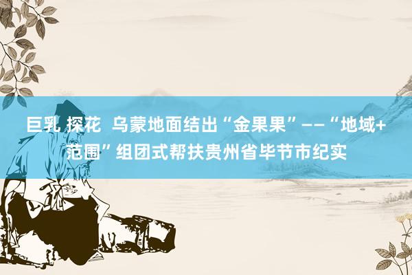 巨乳 探花  乌蒙地面结出“金果果”——“地域+范围”组团式帮扶贵州省毕节市纪实