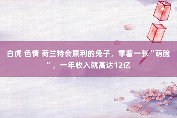 白虎 色情 荷兰特会赢利的兔子，靠着一张“萌脸”，一年收入就高达12亿