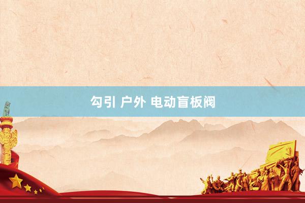 勾引 户外 电动盲板阀