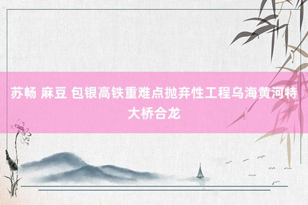 苏畅 麻豆 包银高铁重难点抛弃性工程乌海黄河特大桥合龙