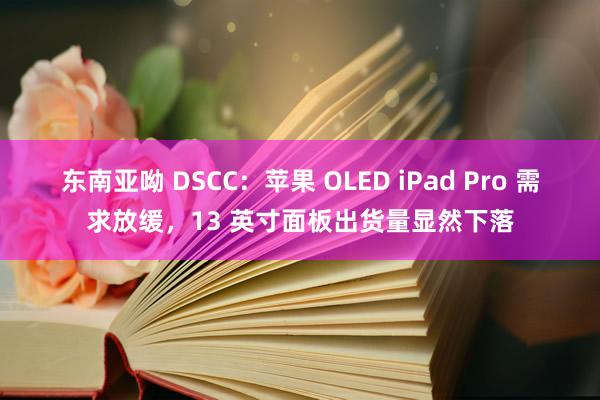 东南亚呦 DSCC：苹果 OLED iPad Pro 需求放缓，13 英寸面板出货量显然下落