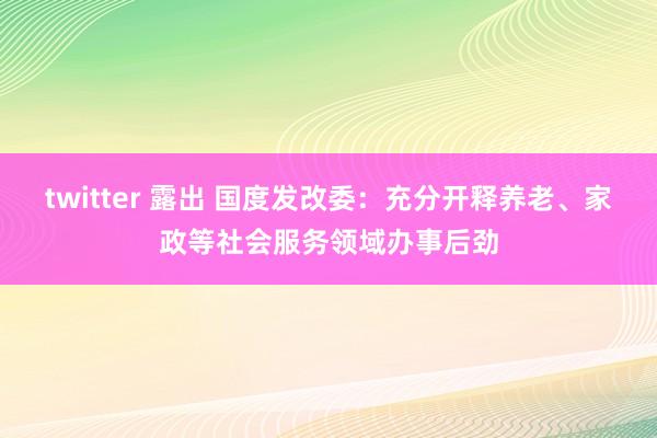 twitter 露出 国度发改委：充分开释养老、家政等社会服务领域办事后劲