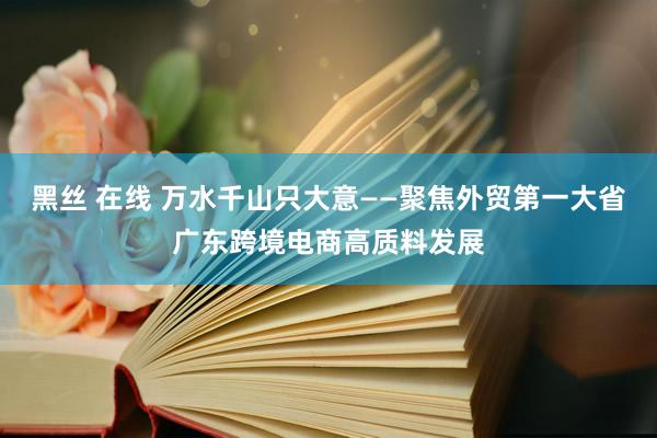 黑丝 在线 万水千山只大意——聚焦外贸第一大省广东跨境电商高质料发展