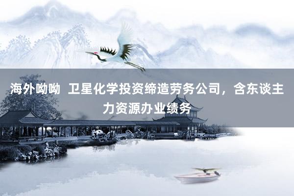 海外呦呦  卫星化学投资缔造劳务公司，含东谈主力资源办业绩务