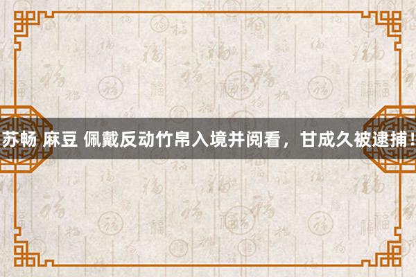 苏畅 麻豆 佩戴反动竹帛入境并阅看，甘成久被逮捕！