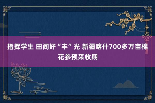 指挥学生 田间好“丰”光 新疆喀什700多万亩棉花参预采收期