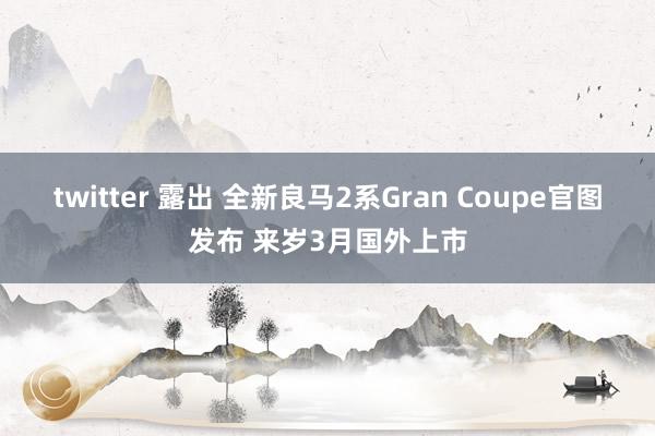 twitter 露出 全新良马2系Gran Coupe官图发布 来岁3月国外上市