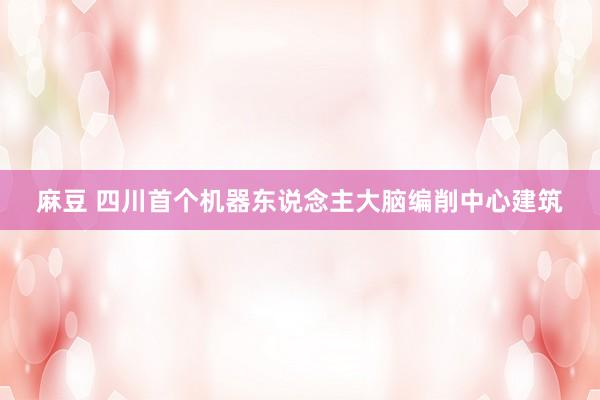 麻豆 四川首个机器东说念主大脑编削中心建筑