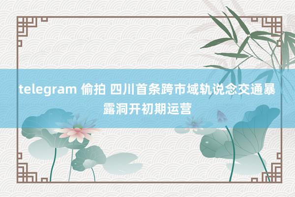 telegram 偷拍 四川首条跨市域轨说念交通暴露洞开初期运营