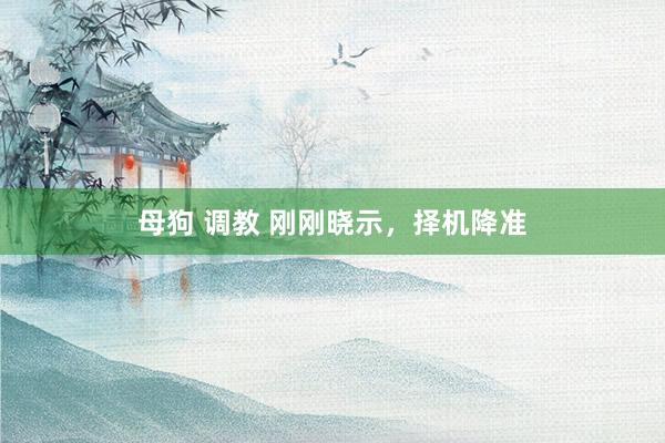 母狗 调教 刚刚晓示，择机降准