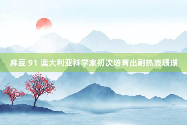 麻豆 91 澳大利亚科学家初次培育出耐热浪珊瑚