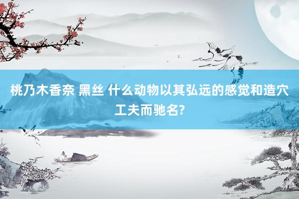 桃乃木香奈 黑丝 什么动物以其弘远的感觉和造穴工夫而驰名?