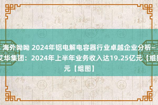 海外呦呦 2024年铝电解电容器行业卓越企业分析——艾华集团：2024年上半年业务收入达19.25亿元【组图】