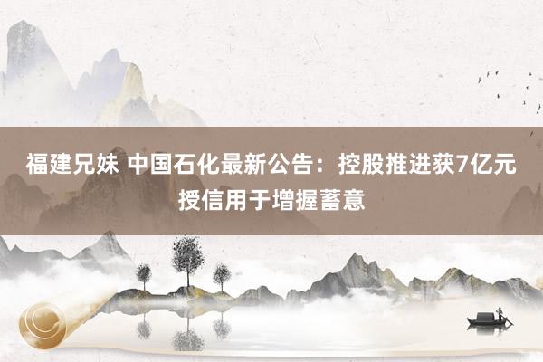 福建兄妹 中国石化最新公告：控股推进获7亿元授信用于增握蓄意