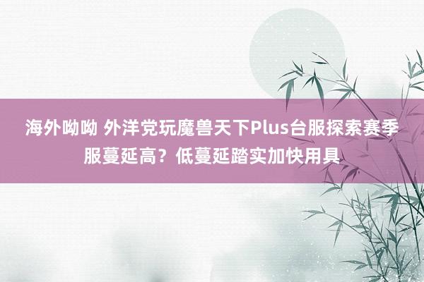 海外呦呦 外洋党玩魔兽天下Plus台服探索赛季服蔓延高？低蔓延踏实加快用具