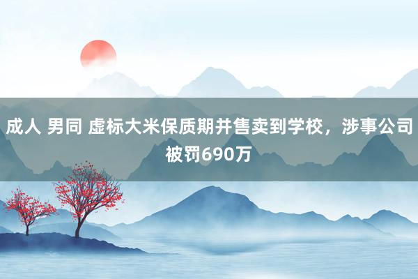 成人 男同 虚标大米保质期并售卖到学校，涉事公司被罚690万
