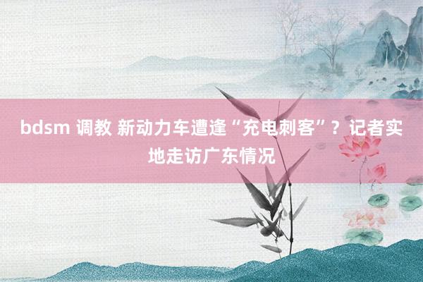 bdsm 调教 新动力车遭逢“充电刺客”？记者实地走访广东情况