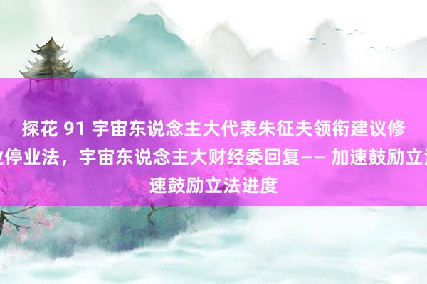 探花 91 宇宙东说念主大代表朱征夫领衔建议修改企业停业法，宇宙东说念主大财经委回复—— 加速鼓励立法进度