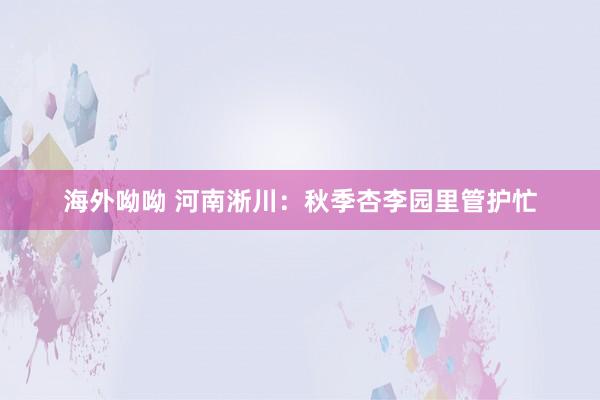 海外呦呦 河南淅川：秋季杏李园里管护忙