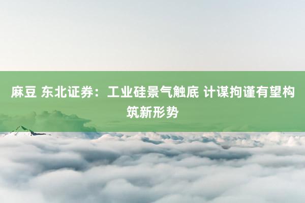麻豆 东北证券：工业硅景气触底 计谋拘谨有望构筑新形势