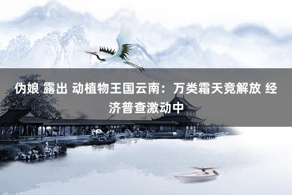 伪娘 露出 动植物王国云南：万类霜天竞解放 经济普查激动中