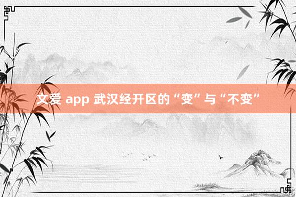文爱 app 武汉经开区的“变”与“不变”