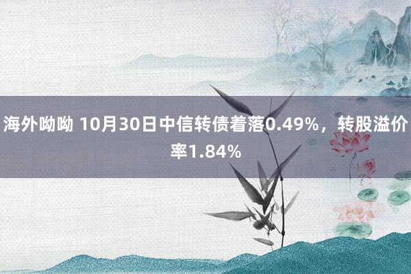 海外呦呦 10月30日中信转债着落0.49%，转股溢价率1.84%