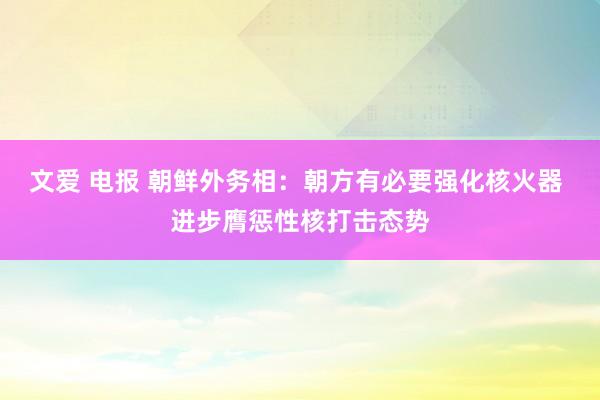 文爱 电报 朝鲜外务相：朝方有必要强化核火器 进步膺惩性核打击态势
