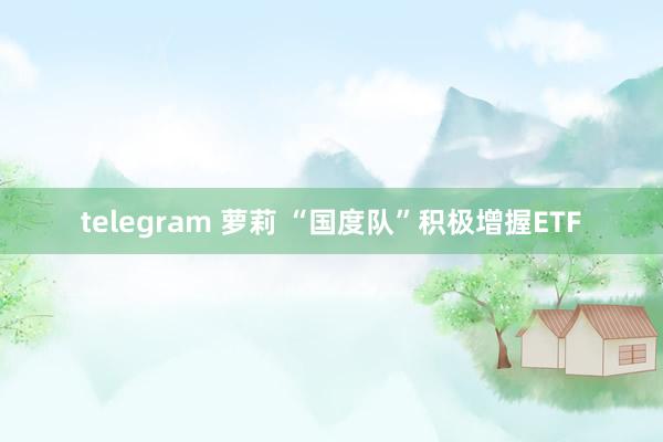 telegram 萝莉 “国度队”积极增握ETF