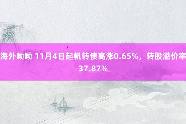 海外呦呦 11月4日起帆转债高涨0.65%，转股溢价率37.87%