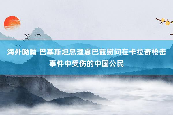 海外呦呦 巴基斯坦总理夏巴兹慰问在卡拉奇枪击事件中受伤的中国公民